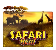 Joker123 : Safari Heat - VIAPLAY777