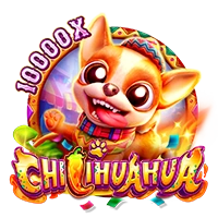 Facai : CHILIHUAHUA - VIAPLAY777