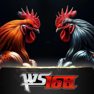 Ws168 Sabung - VIAPLAY777