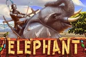PLAYSTAR : ELEPHANT - VIAPLAY777