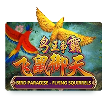 Bird Paradise - VIAPLAY777