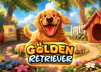 Golden Retriever - VIAPLAY777